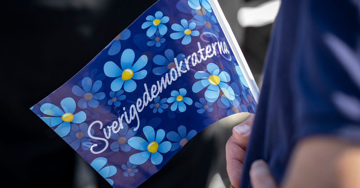 Larmade om avgående SD-ledamoten – efter ”särskilt hänsynslös film”