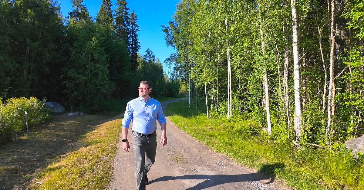 Två män döms för hot mot politikern Edward Riedl (M)