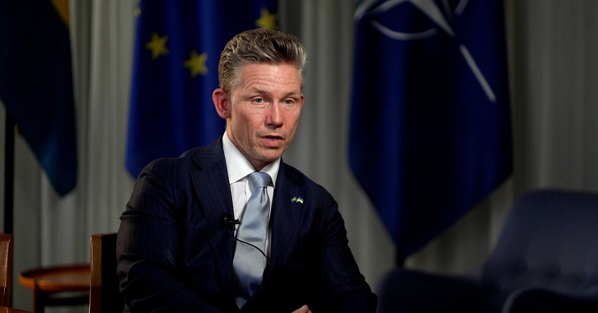 F&ouml;rsvarsministern: &rdquo;Mer aggressivt beteende fr&aring;n ryska &Ouml;stersj&ouml;flottan&rdquo;