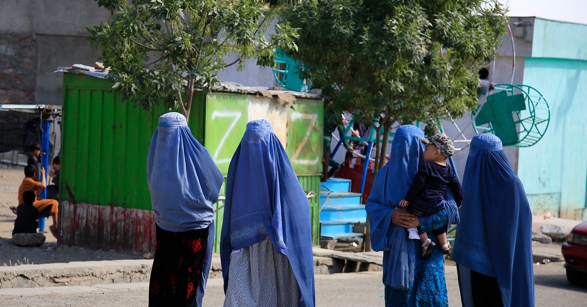 Talibanerna förbjuder böcker av kvinnor
