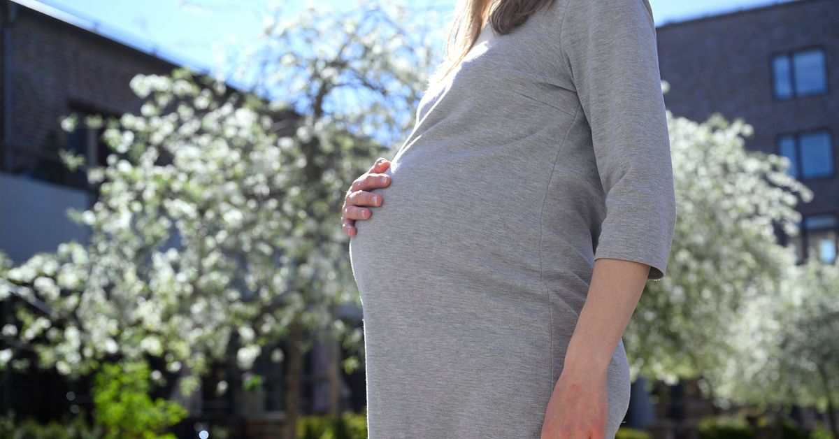 Därför älskar mygg gravida kvinnor