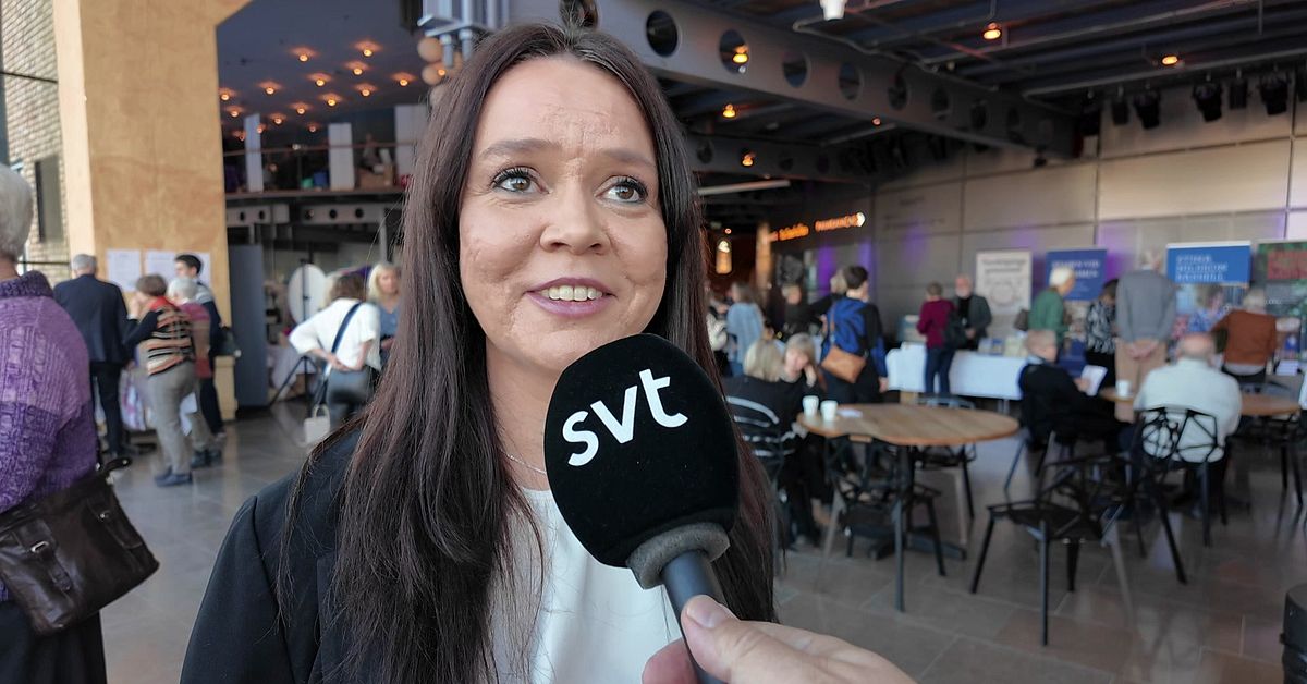 Bok- & poddfestivalen i Norrk&ouml;ping v&auml;xer: &rdquo;Slagit publikrekord&rdquo;