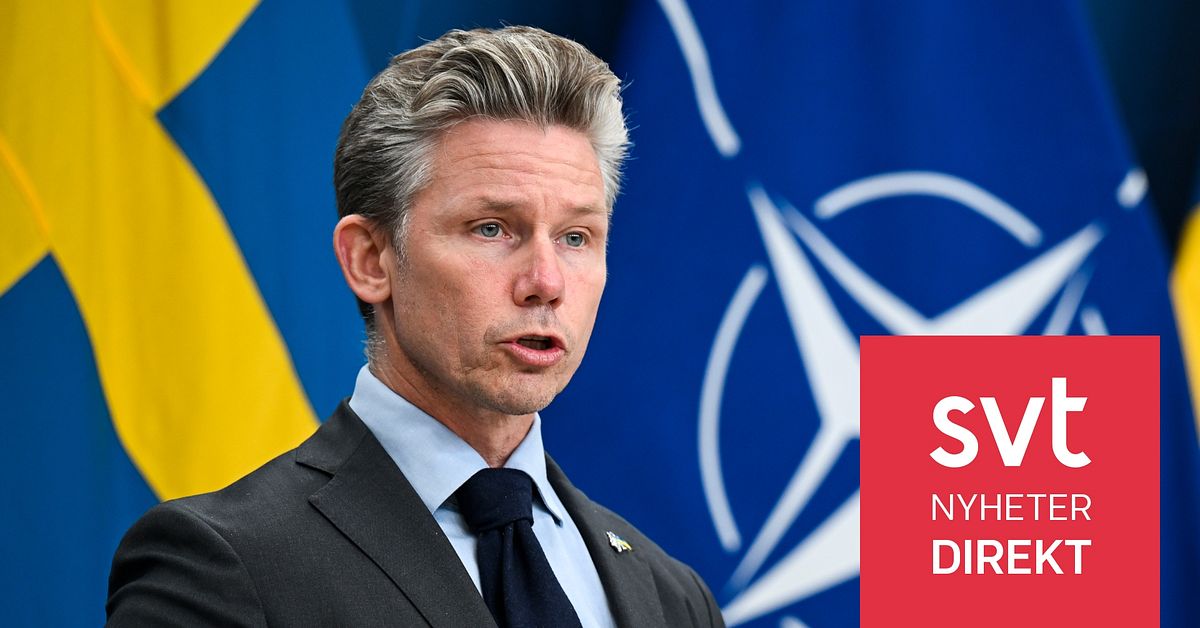 F&ouml;rsvarsministrar h&aring;ller presstr&auml;ff &ndash; presenterar gemensam satsning
