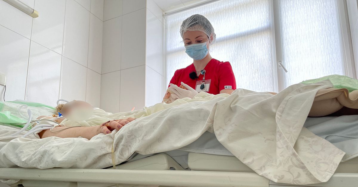 Högskolan i Jönköping får miljonbidrag för att utbilda ukrainsk ...