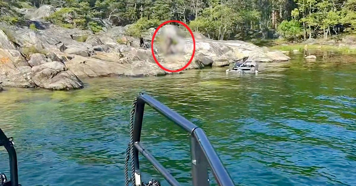Här räddas man och hund efter två dygn i skärgården utanför Trosa
