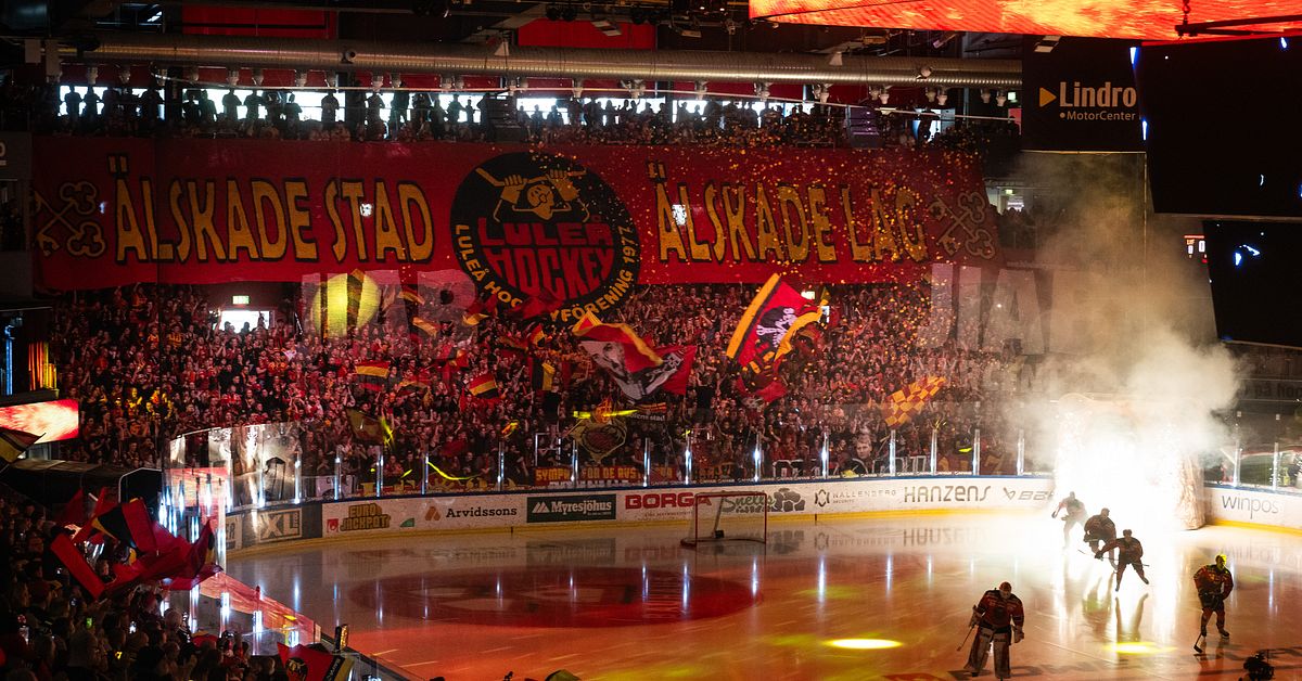 Hockeyfeber och guldchans i Luleå – hur laddar du upp?