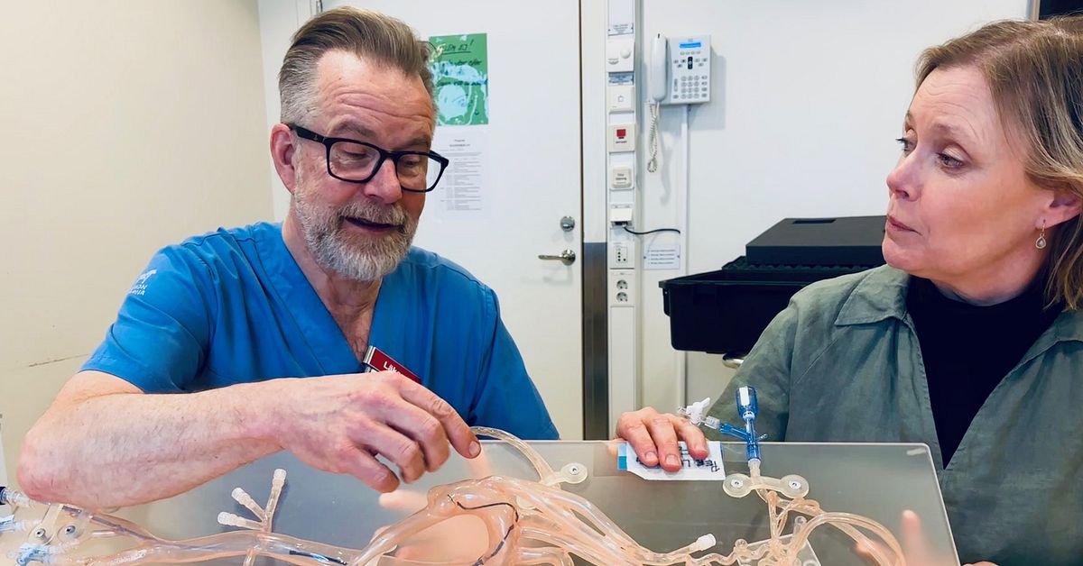 Nu ska strokepatienter f&aring; snabbare v&aring;rd  &ndash; Falu lasarett pionj&auml;rer