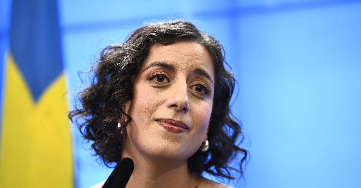 Mohamssons oro: att L ska framst&aring; som mjuka i migrationspolitiken