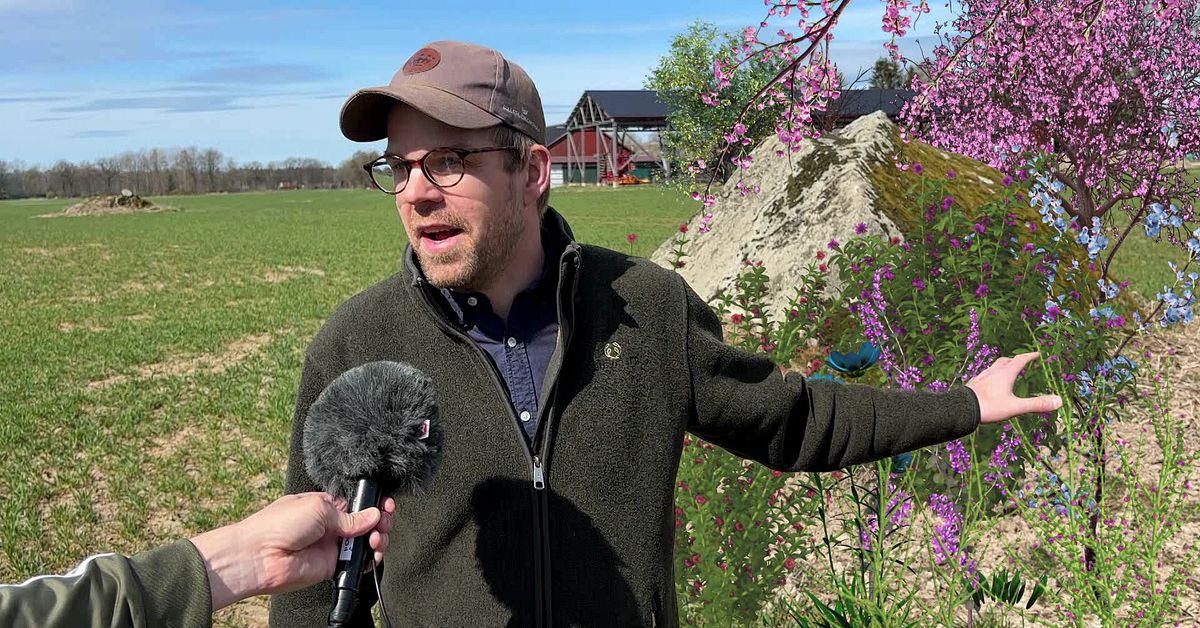 S&aring; ska bonden Markus, 36, f&aring; stenen p&aring; &aring;kern att blomma