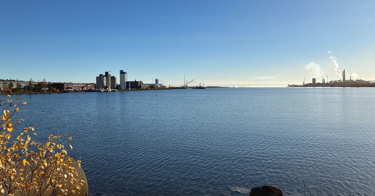 Besättningsman har fallit från fartyg utanför Skelleftehamn