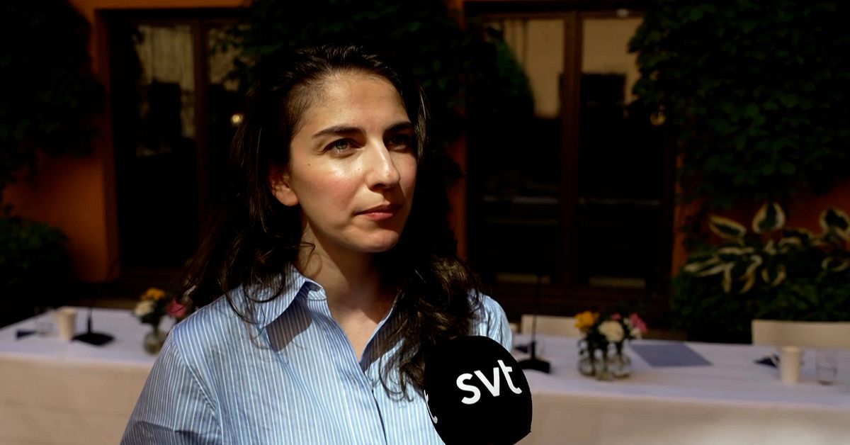 Regeringen godkänner två havsbaserade vindkraftsparker