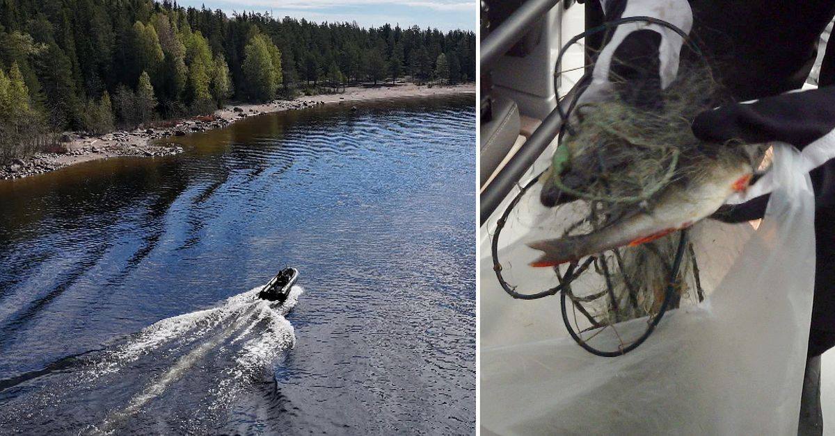 H&auml;r jagas tjuvfiskare i Kalix sk&auml;rg&aring;rd &ndash; tj&auml;nar pengar med illegala n&auml;t
