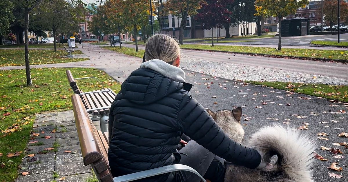 Felicia satt p&aring; olycksbussen n&auml;r det small: &rdquo;Vi bara fl&ouml;g runt&rdquo;