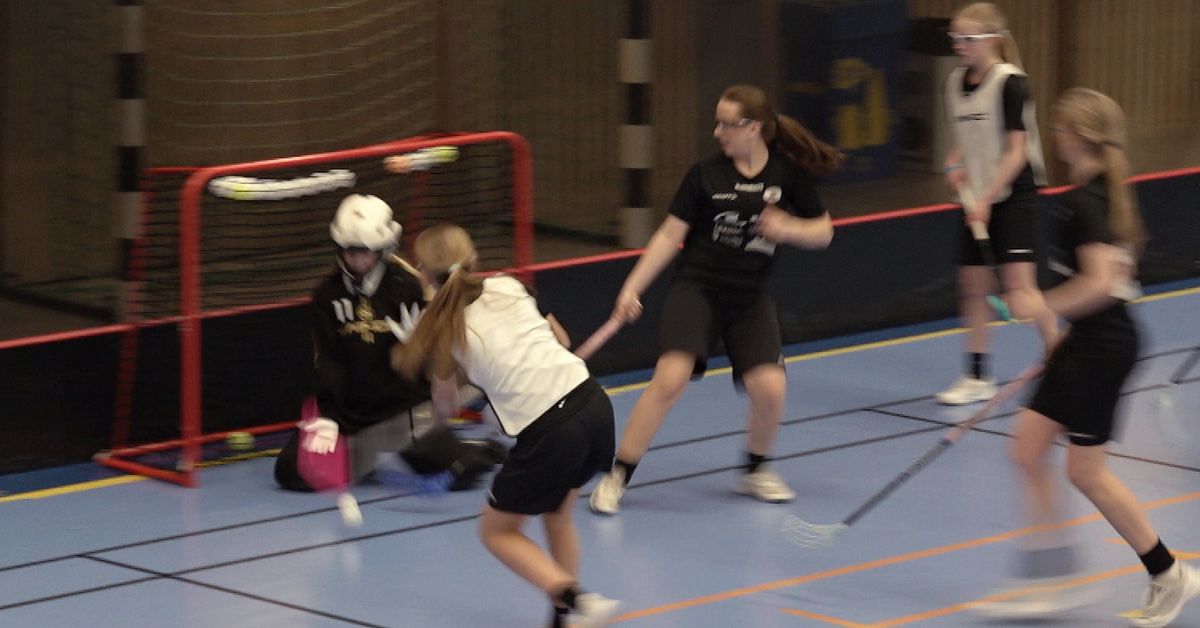 Ny satsning ska f&aring; unga att forts&auml;tta med innebandyn i V&auml;sternorrland