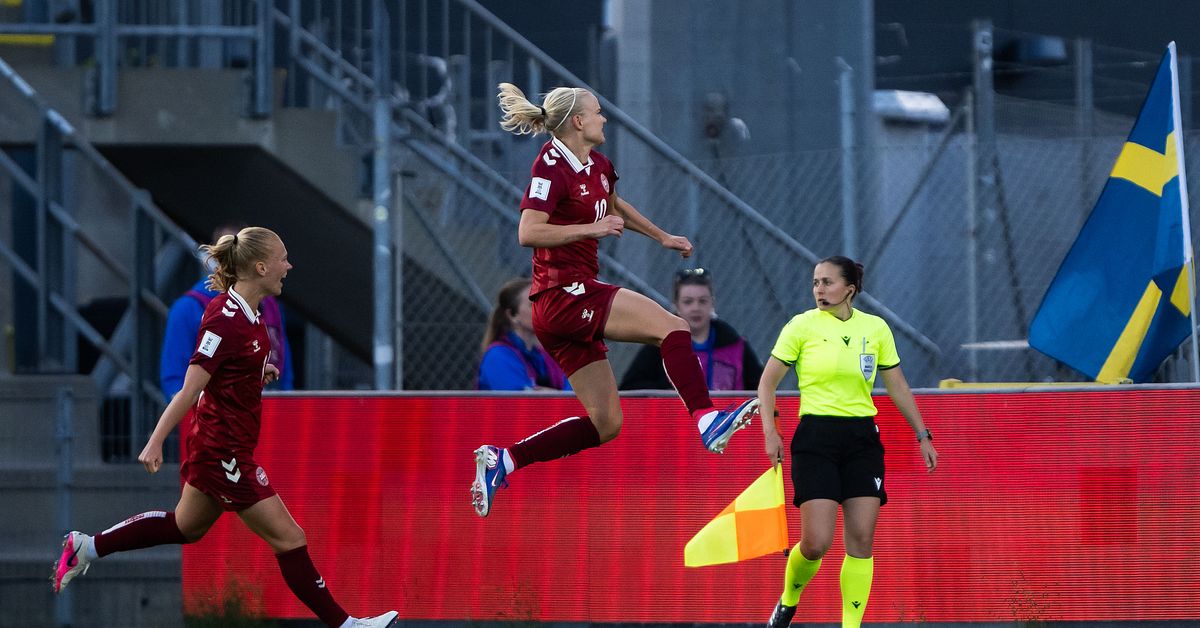 fotboll-m-l-18-00-sveriges-motst-nd-i-fotbolls-em-ska-lottas-svt