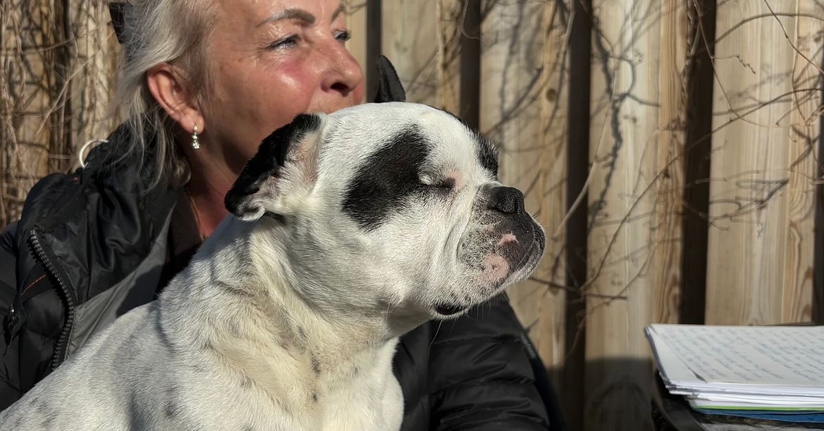 Daisy f&ouml;rlorade &ouml;gat efter bes&ouml;k hos &ouml;k&auml;nd Malm&ouml;veterin&auml;r