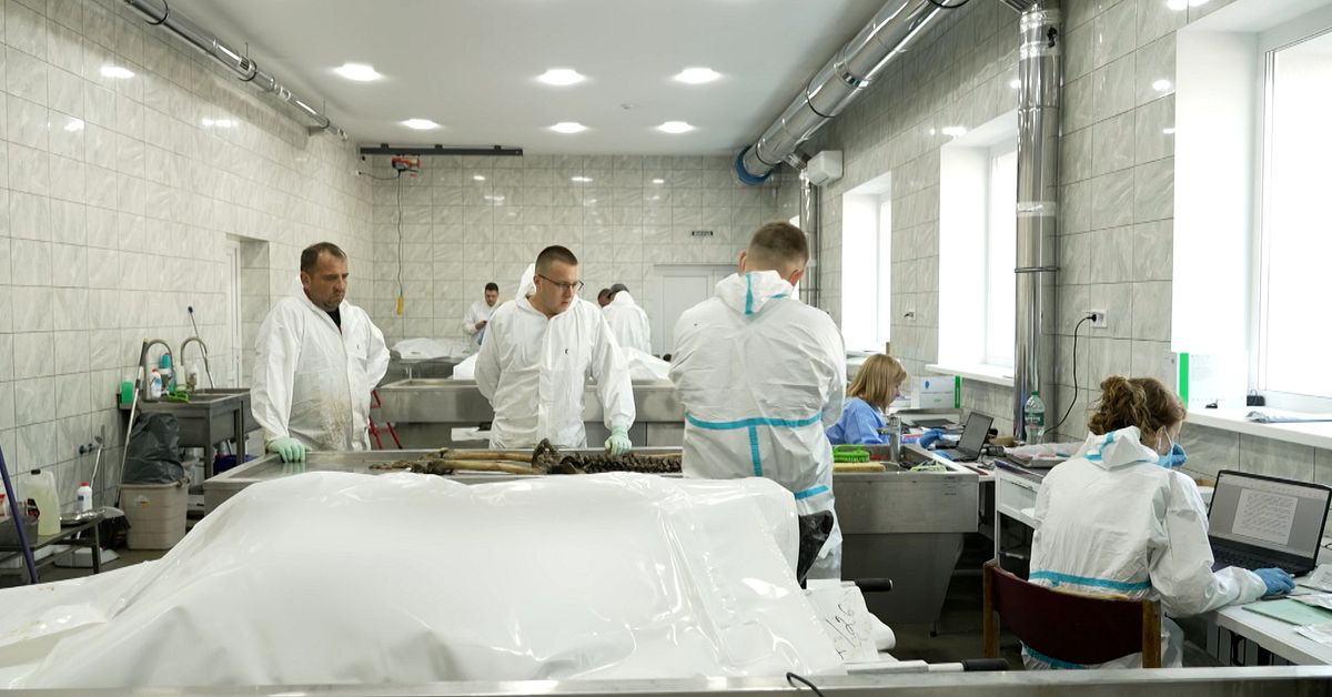 H&auml;r identifieras Ukrainakrigets offer med DNA &ndash; kan ta flera &aring;r