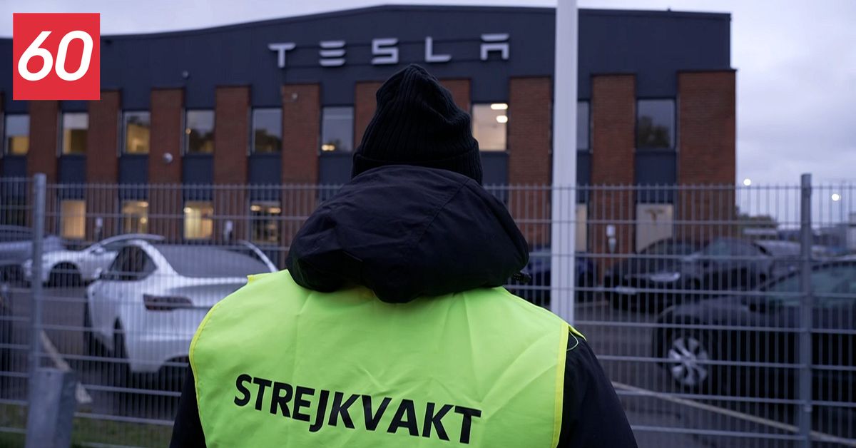 60 sekunder: Turerna i Teslastrejken