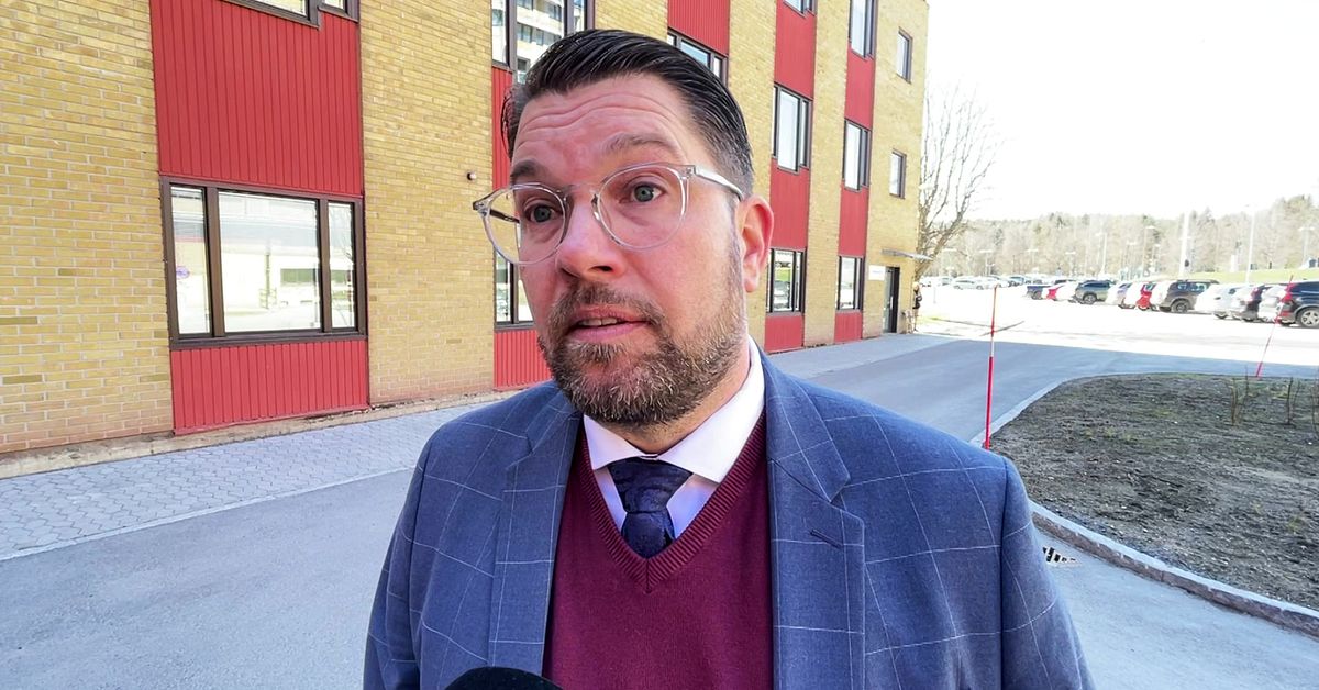 Åkessons (SD) hot mot regionen: Vi stryper statsbidragen