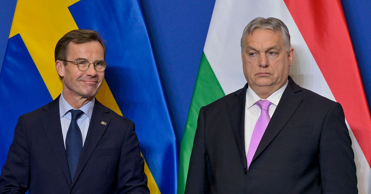 ”Sverige blir slagträ i Orbáns kamp om makten”