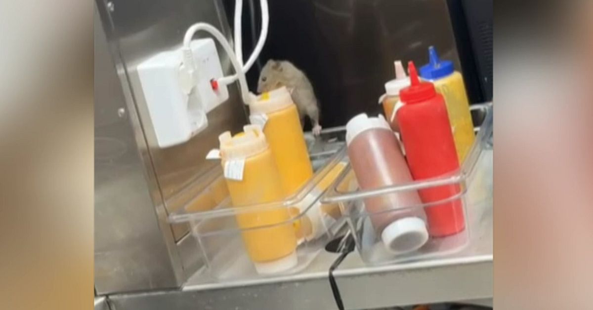 H&auml;r kl&auml;ttrar musen i k&ouml;ket p&aring; Burger King i J&ouml;nk&ouml;ping