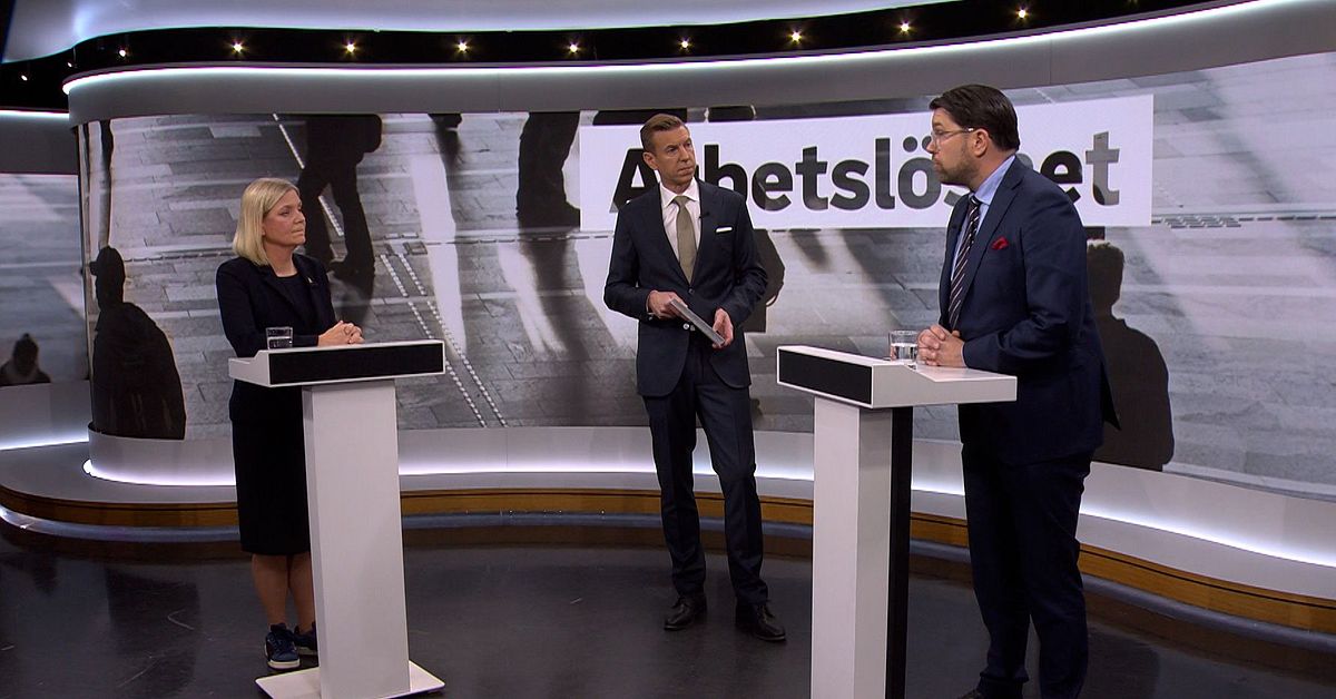 Tre påståenden från debatten mellan Andersson (S) och Åkesson (SD)