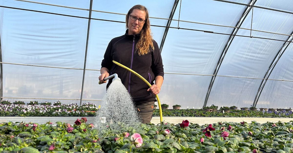 S&aring; lyckas du med dina pens&eacute;er &ndash; expertens tips