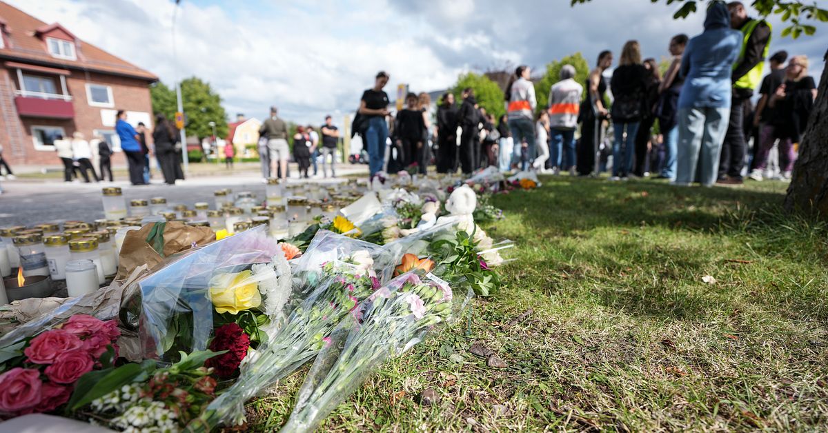 Misst&auml;nkta 18-&aring;ringens liv f&ouml;re skolattacken: V&aring;ld, LVU och kampsport