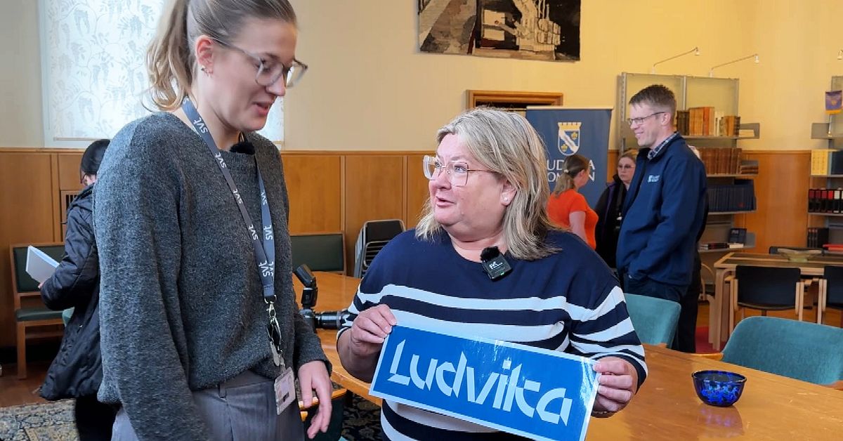 En kvarts miljon för ny logga i Ludvika: ”Ser knappt vad det står”