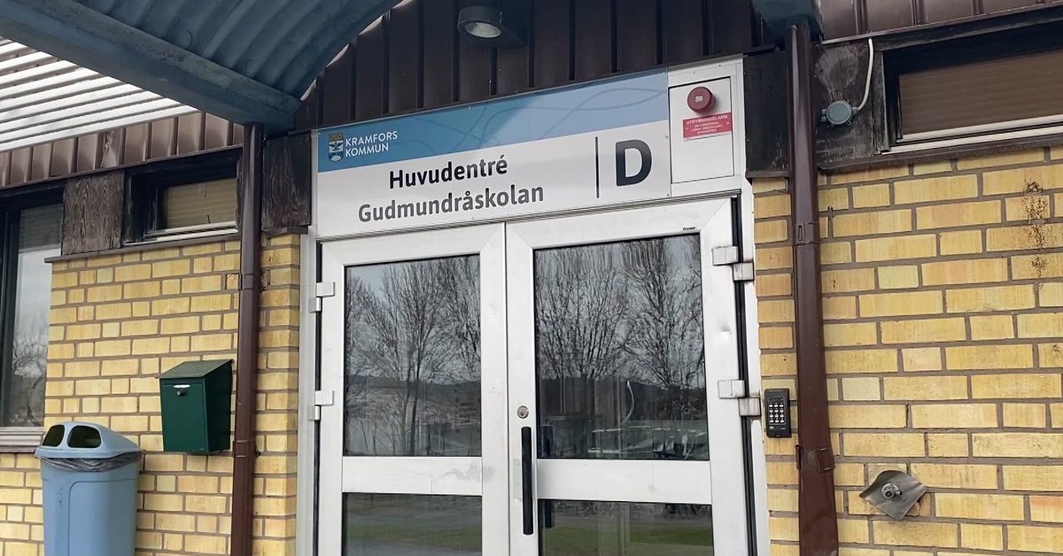 Ton&aring;rspojkar d&ouml;ms efter misshandel p&aring; Gudmundr&aring;skolan