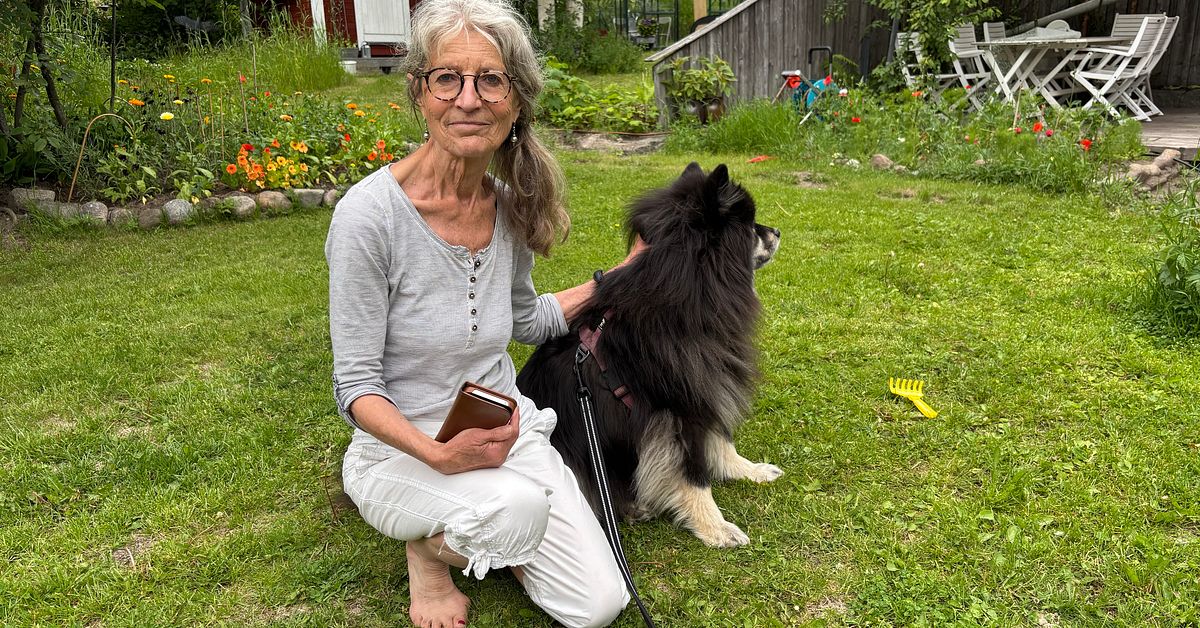 Efter oro f&ouml;r kladdigt damm: L&auml;nsstyrelsen tar prover i bostadsomr&aring;de i Lule&aring;