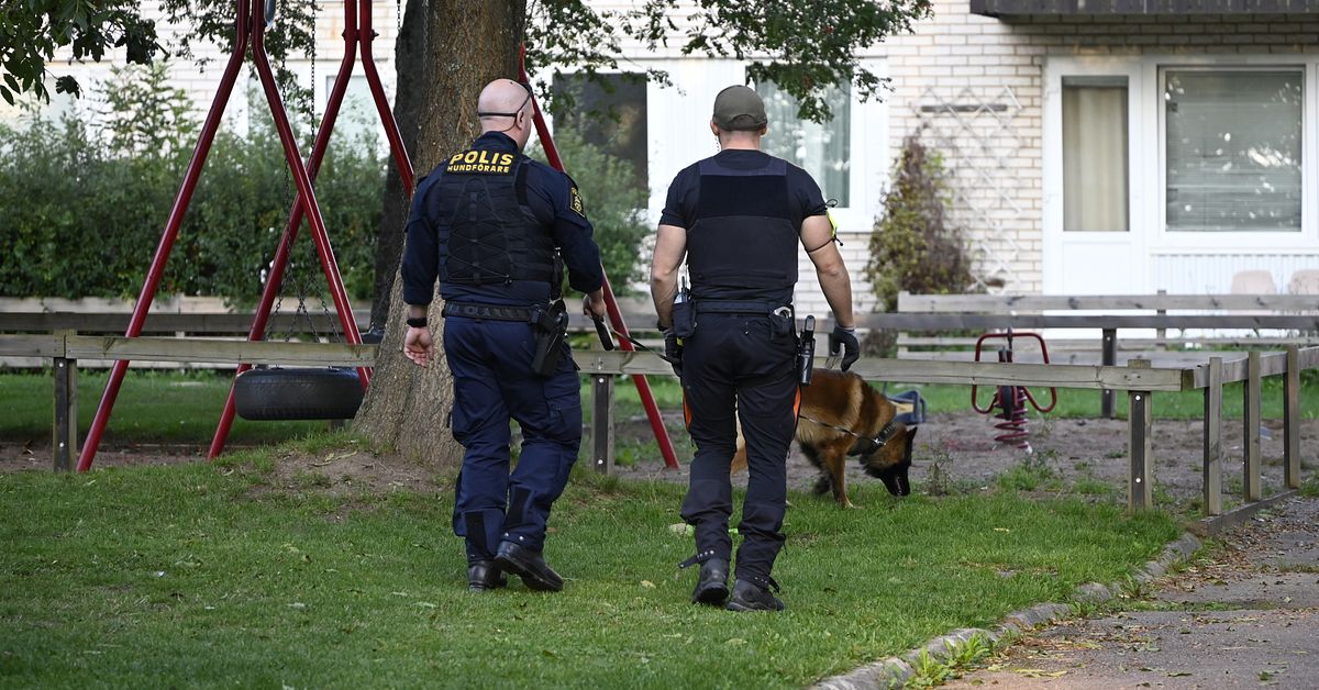 En man i 30-årsåldern död efter skottlossning i Linköping