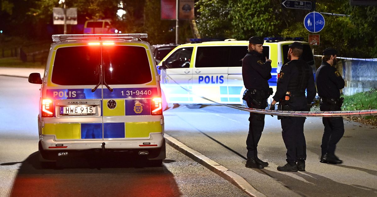 Tonåring åtalas för skott mot Israels ambassad