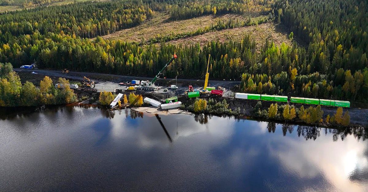 Skogsstyrelsen: Skogsbruk förvärrade skadorna vid skyfallen i Västernorrland