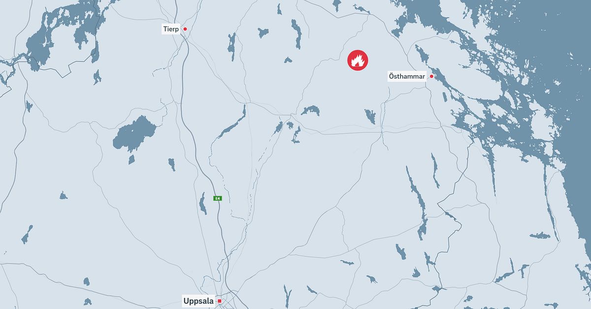 &Auml;ldre man saknas efter villabrand utanf&ouml;r &Ouml;sthammar