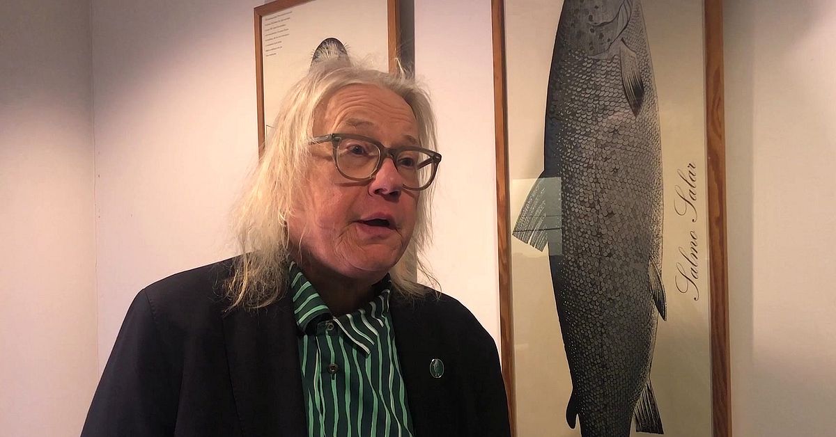 Naturskyddsf&ouml;rbundet kritiserar kvotjakten p&aring; varg i Finland