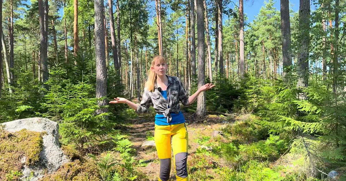 Agnes, 28, g&aring;r mot str&ouml;mmen och tar &ouml;ver f&ouml;r&auml;ldrarnas skog: &rdquo;Vill bidra till klimatet&rdquo;