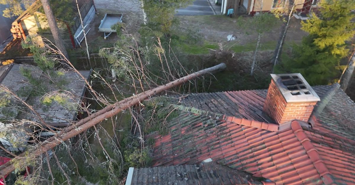 En miljard i skadekostnader efter stormen Johannes  &ndash; &rdquo;Sticker ut&rdquo;