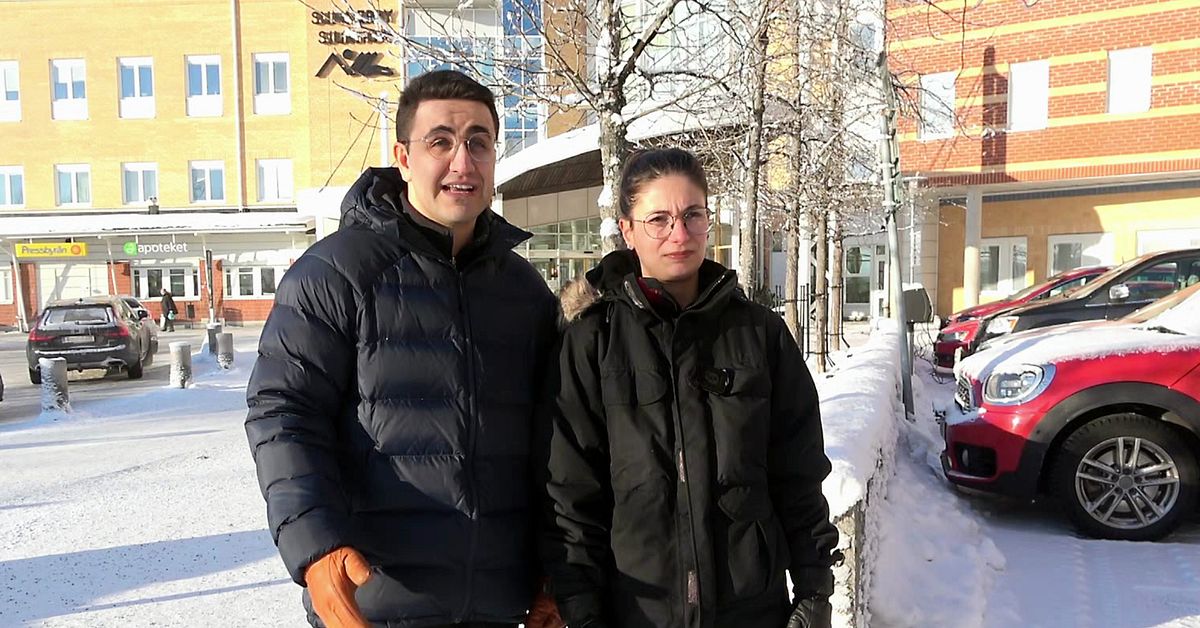 L&auml;karparet i Lule&aring; kritiska till nytt svenskt medborgarskap