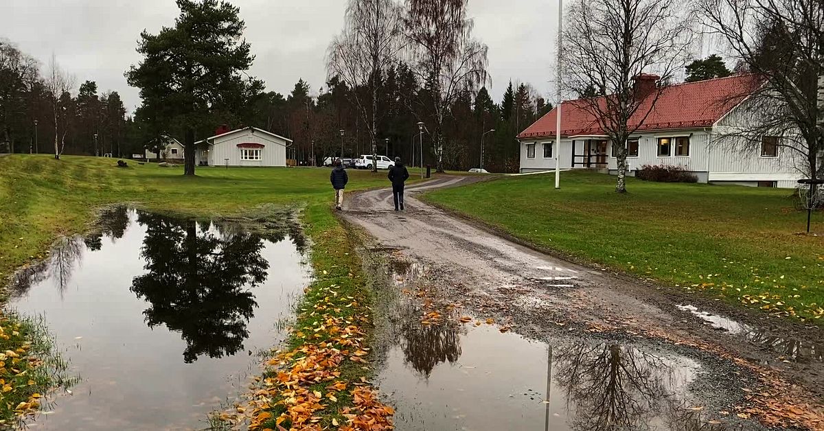 IVO-beslut: Omedelbart stopp för fortsatt verksamhet vid Vemyra