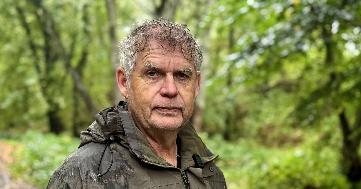 Efter fyra angrepp av varg i Halland &ndash; beslut om skyddsjakt