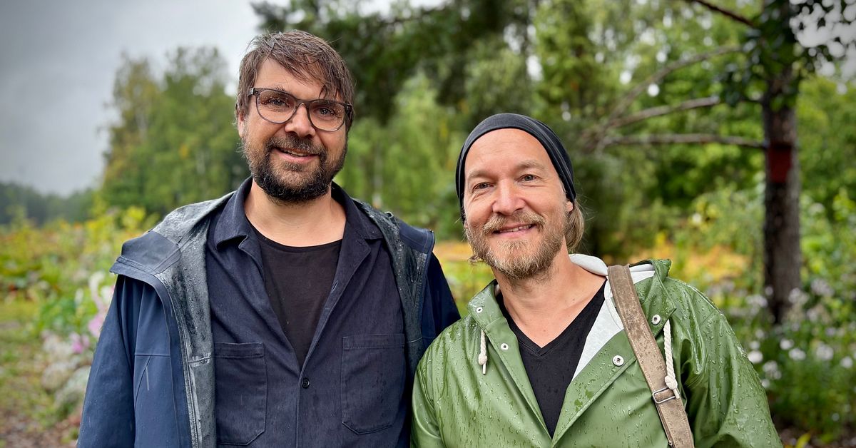 Fr&aring;n &ouml;detomt till nationellt pris &ndash; v&auml;nnerna i Virsbo prisas f&ouml;r sin tr&auml;dg&aring;rd