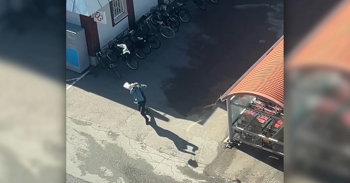 H&auml;r attackeras kunder i Falun av beskyddande m&aring;sar