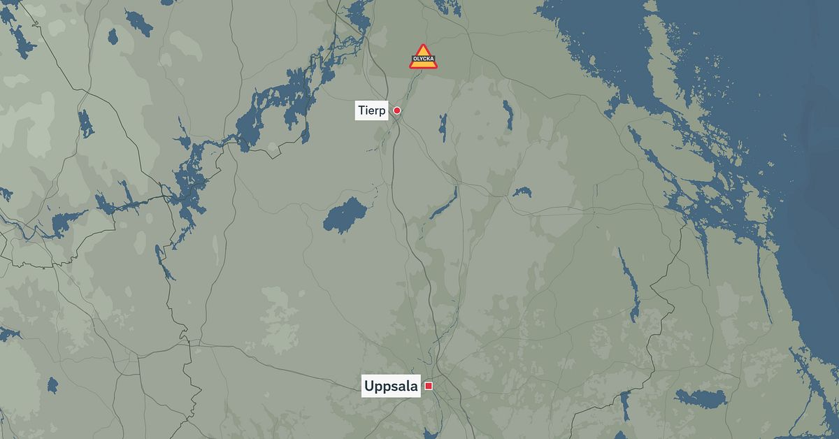 Tv&aring; h&auml;star d&ouml;da efter att ha g&aring;tt genom isen utanf&ouml;r Tierp