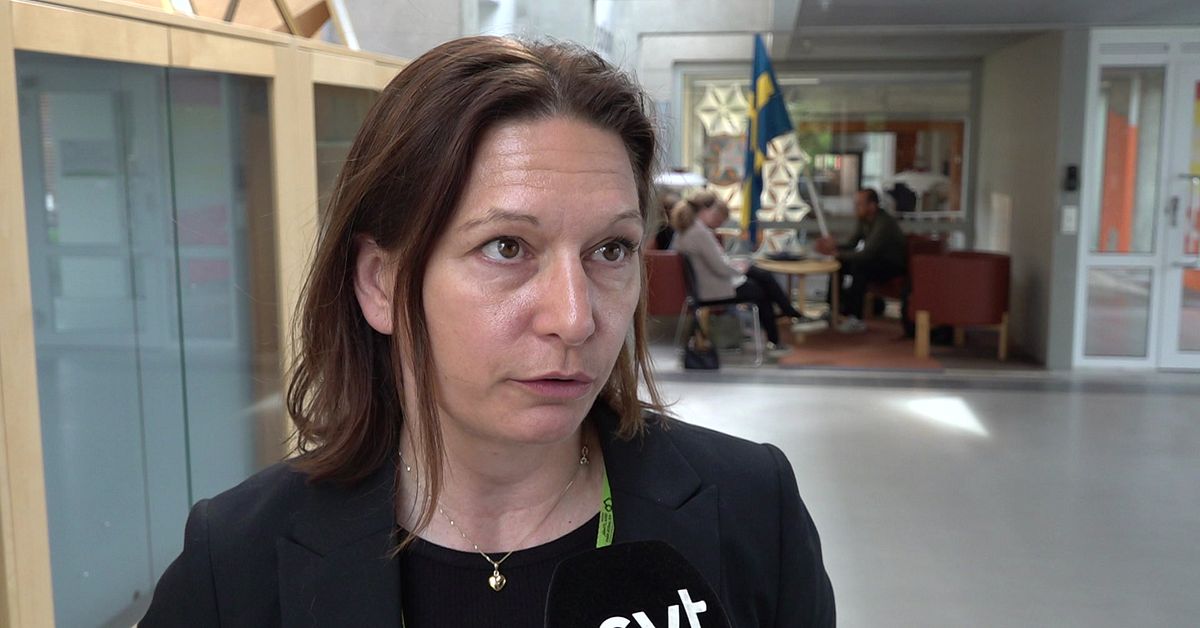 Sjukv&aring;rdsdirekt&ouml;ren om bemanningsl&auml;get: Tuff start p&aring; sommaren