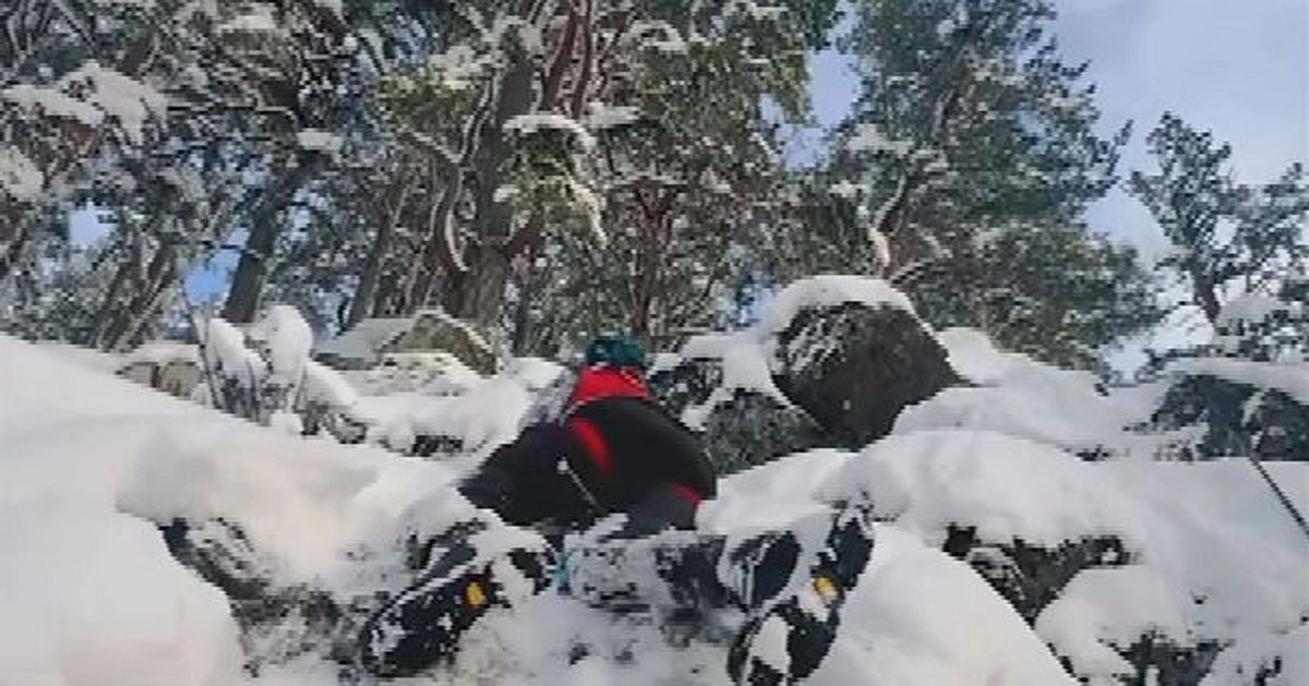 Se bilderna fr&aring;n den spektakul&auml;ra r&auml;ddningsinsatsen i Sunne