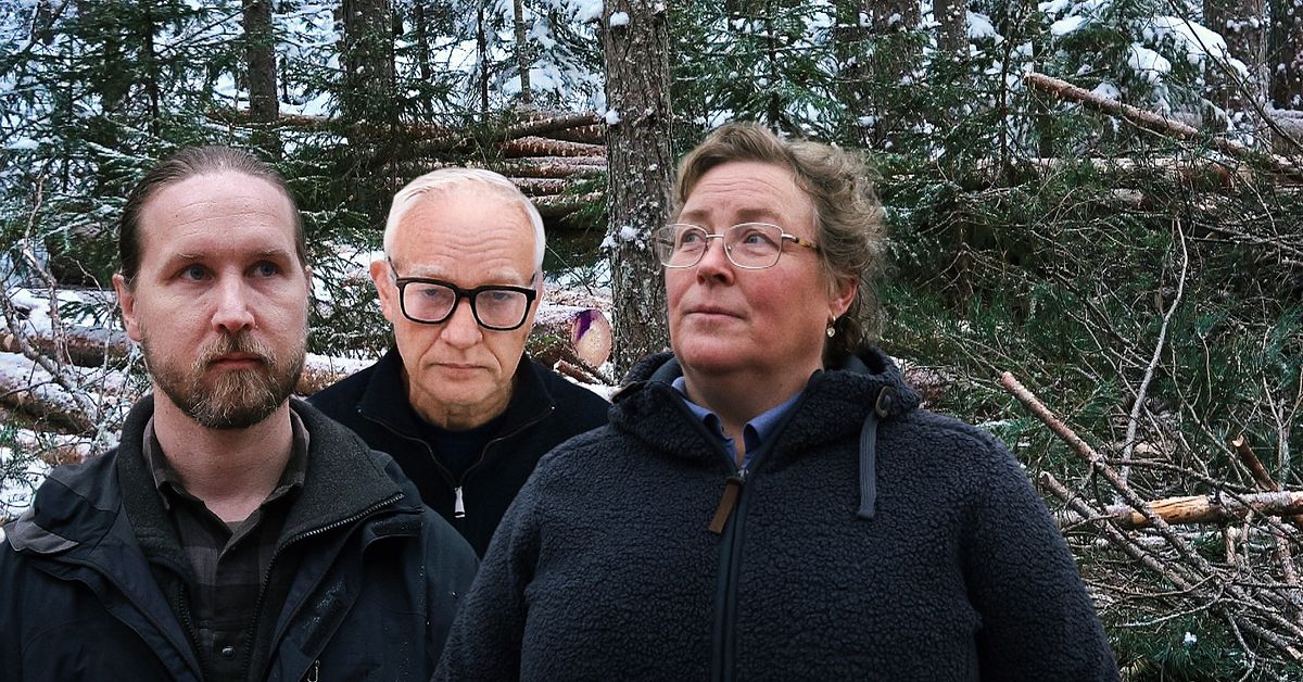 Myndigheten vill &ouml;ka hyggesfritt i Norrbotten &ndash; skogs&auml;gare skeptiska