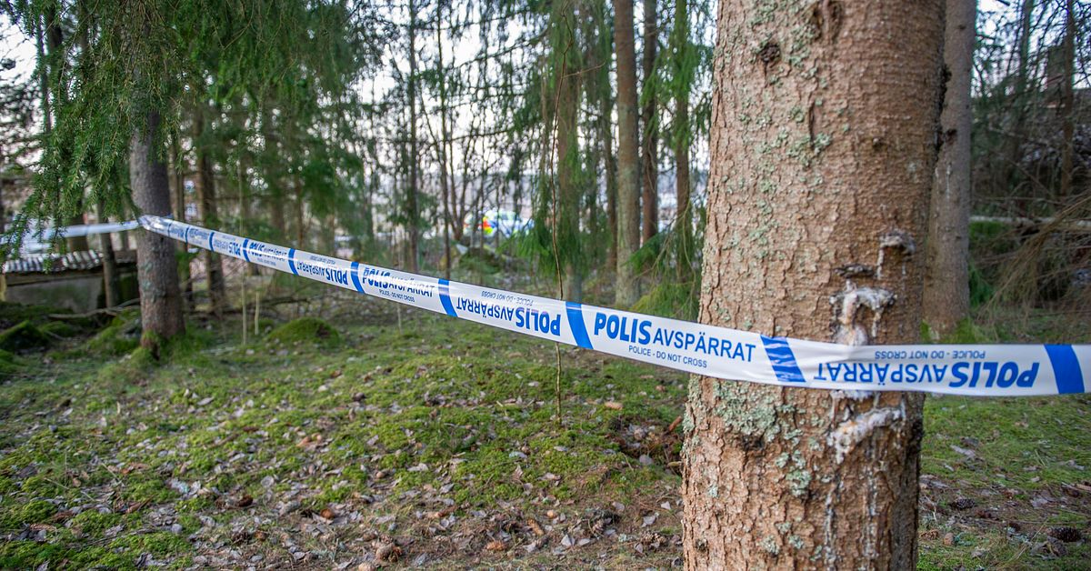 Misst&auml;nkt mord i Avesta &ndash; en anh&aring;llen