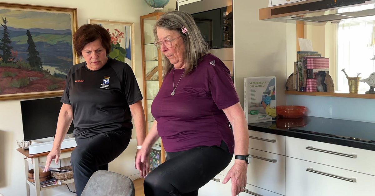 H&auml;r f&aring;r Siv, 85, i &Ouml;stersund gratis hemmatr&auml;ning