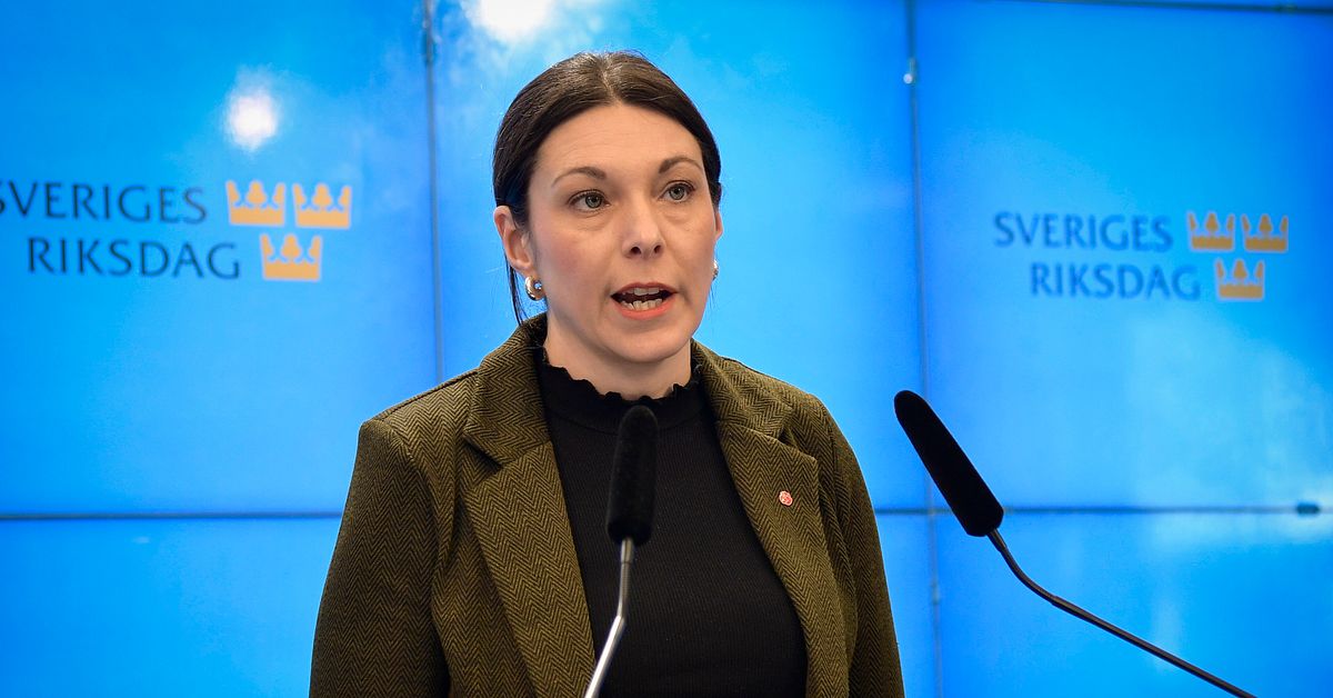 S-kritiken: Antalet gängkriminella är ett regeringsmisslyckande